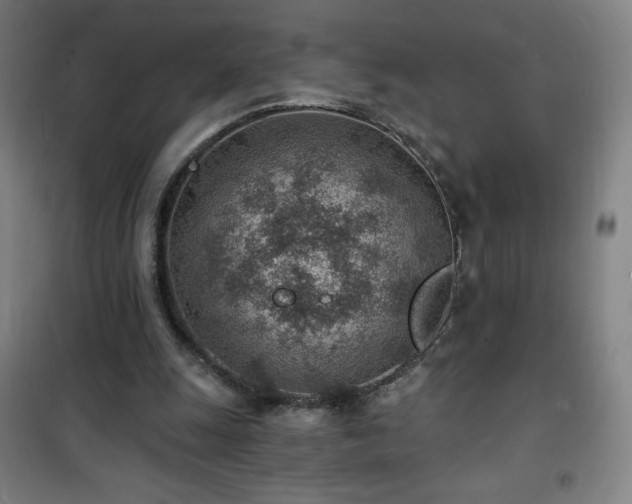 X0000101650247200807101238