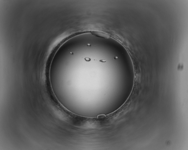 X0000101650248200807101238