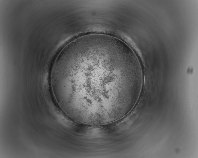 X0000101650249200807101238