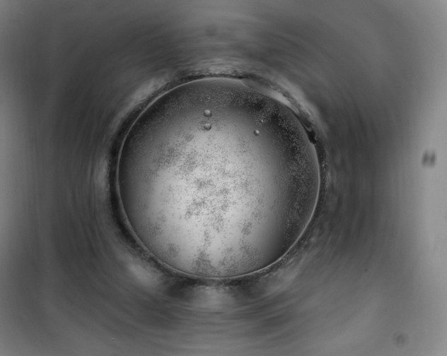 X0000101650250200807101238