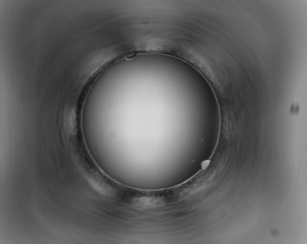 X0000101650251200807101238