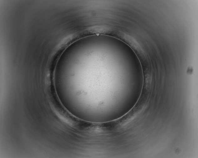 X0000101650254200807101238