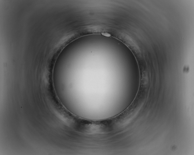 X0000101650255200807101238