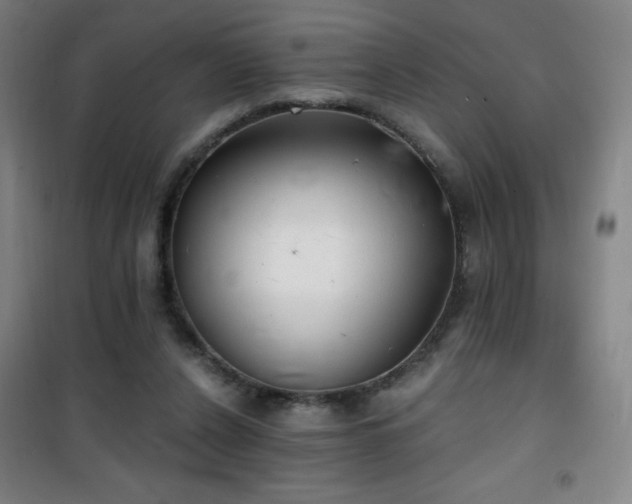 X0000101650256200807101238