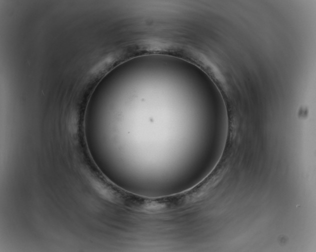 X0000101650257200807101238