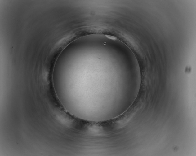 X0000101650258200807101238