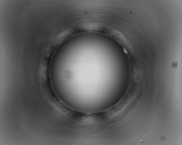 X0000101650259200807101238