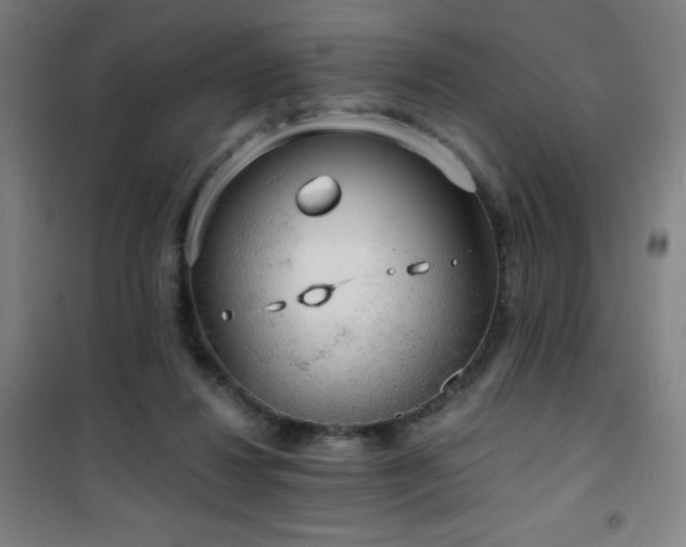 X0000101650260200807101238