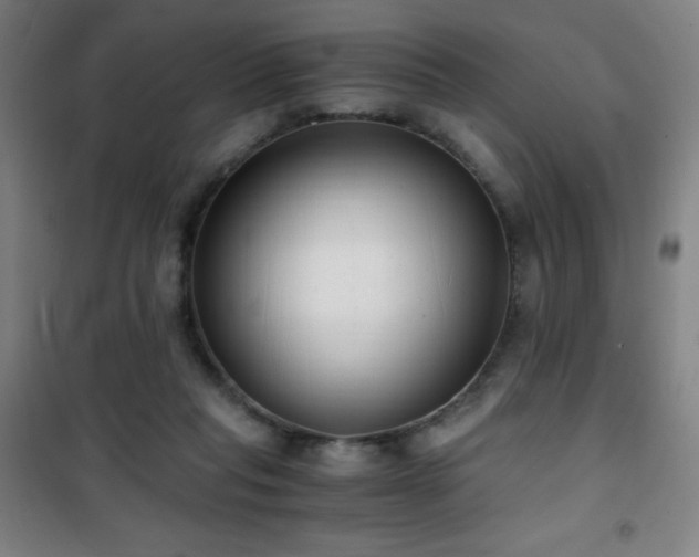 X0000101650261200807101238