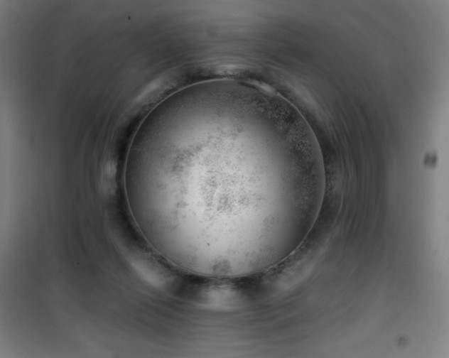 X0000101650262200807101238