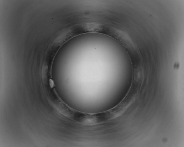 X0000101650263200807101238