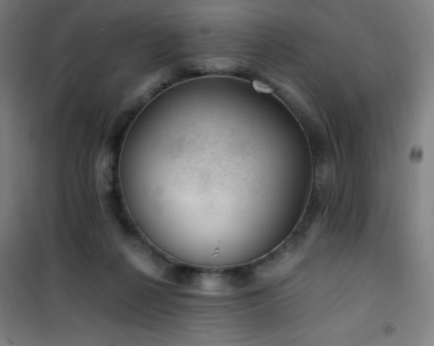 X0000101650264200807101238