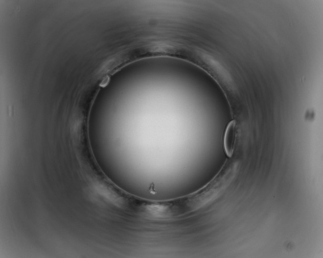 X0000101650265200807101238