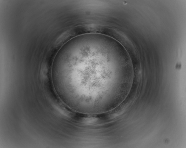 X0000101650266200807101238