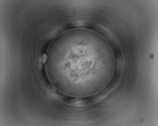 X0000101650267200807101238