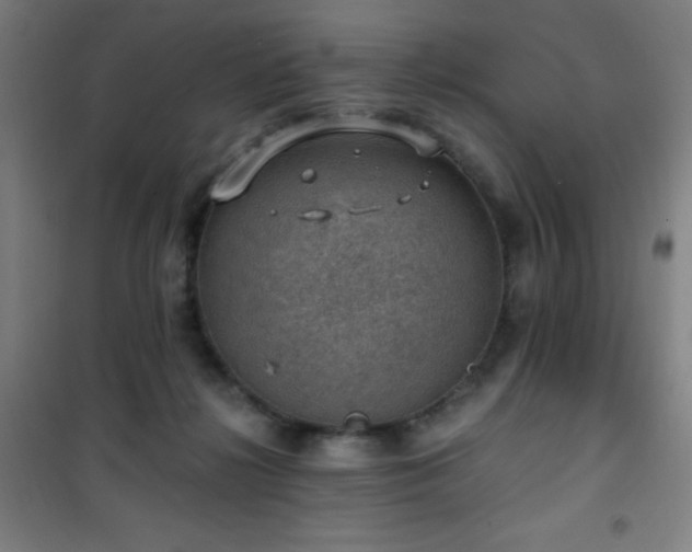 X0000101650268200807101238