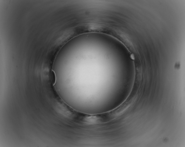 X0000101650269200807101238