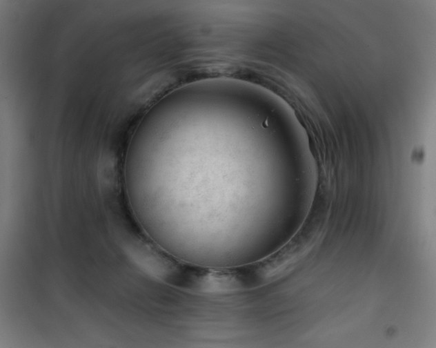 X0000101650270200807101238