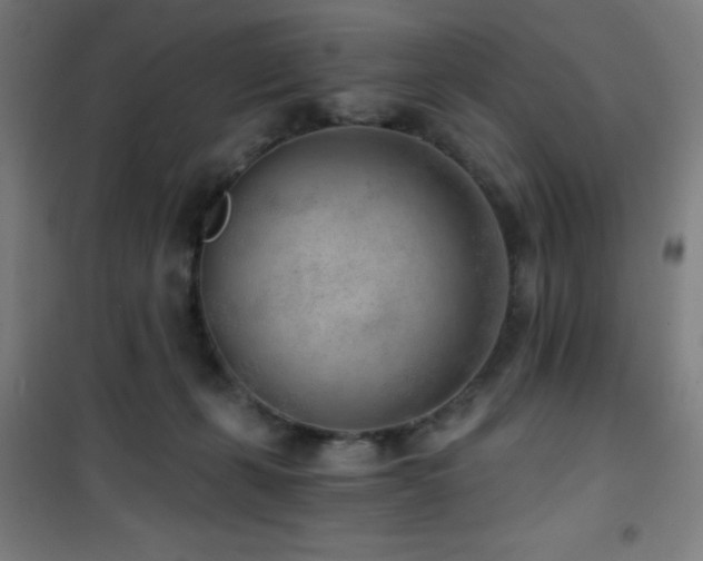 X0000101650271200807101238