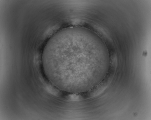 X0000101650272200807101238