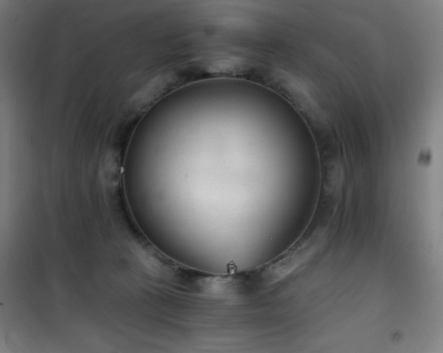 X0000101650273200807101238