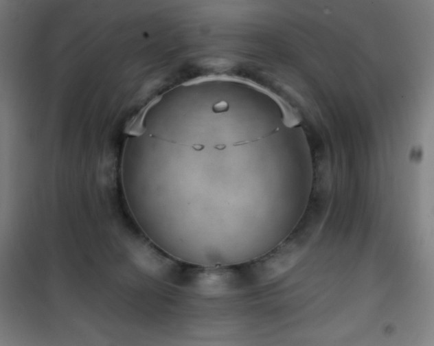 X0000101650274200807101238