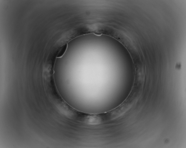 X0000101650275200807101238