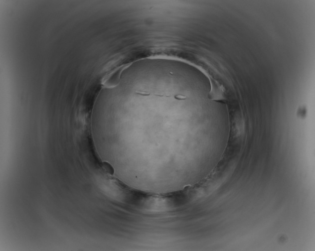 X0000101650276200807101238