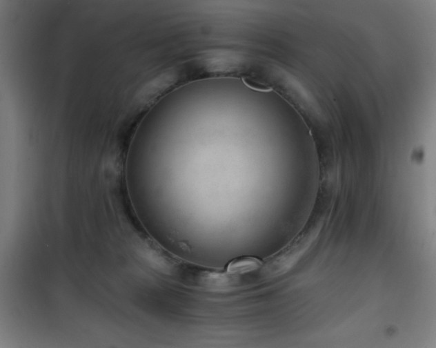 X0000101650277200807101238