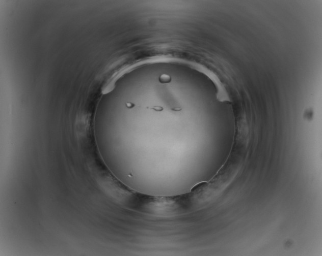 X0000101650278200807101238