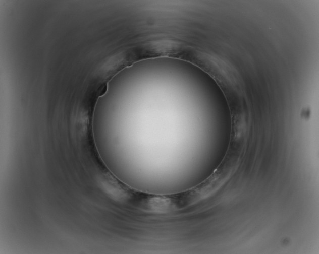 X0000101650279200807101238