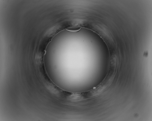 X0000101650280200807101238