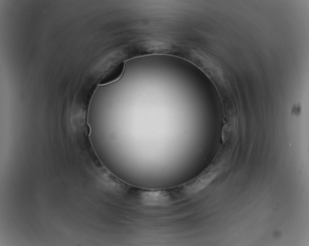 X0000101650281200807101238