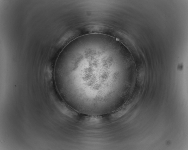 X0000101650282200807101238