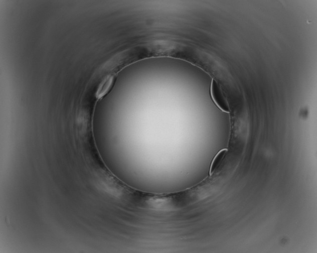 X0000101650283200807101238