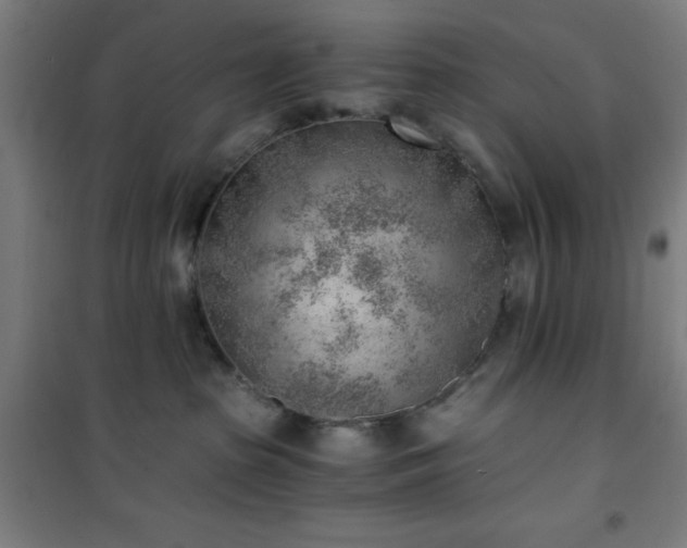 X0000101650285200807101238