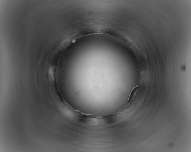 X0000101650286200807101238