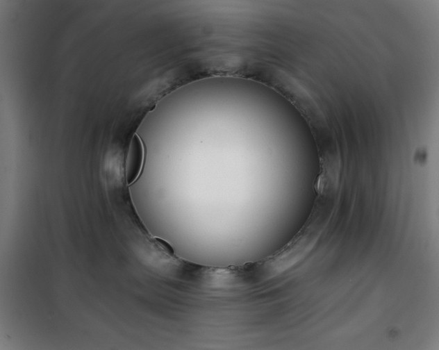 X0000101650287200807101238