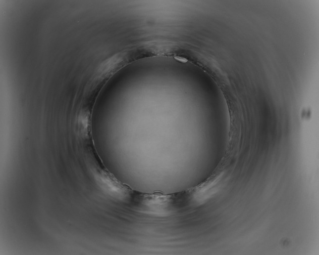 X0000101650288200807101238