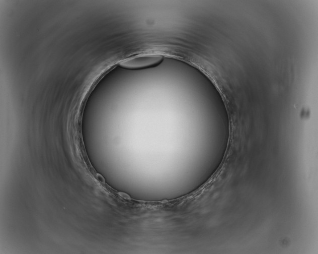 X0000101650289200807101238