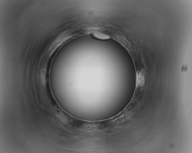 X0000101650291200807101238