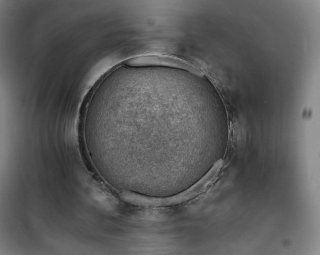 X0000101650292200807101238