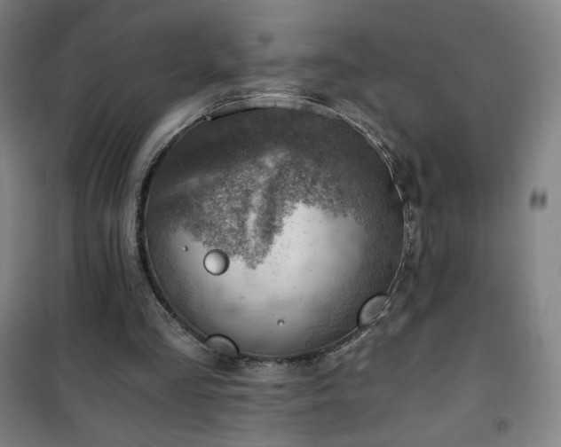 X0000101650293200807101238