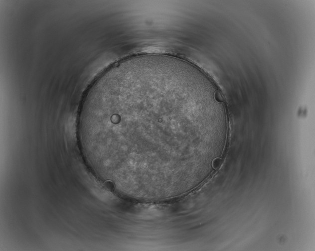 X0000101650297200807101238