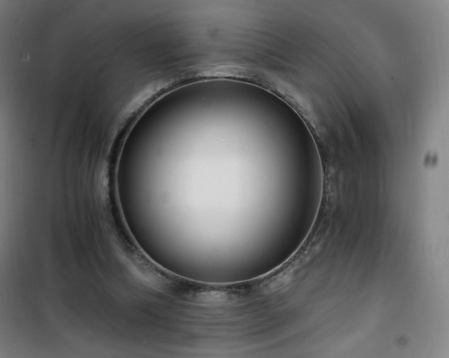 X0000101650298200807101238