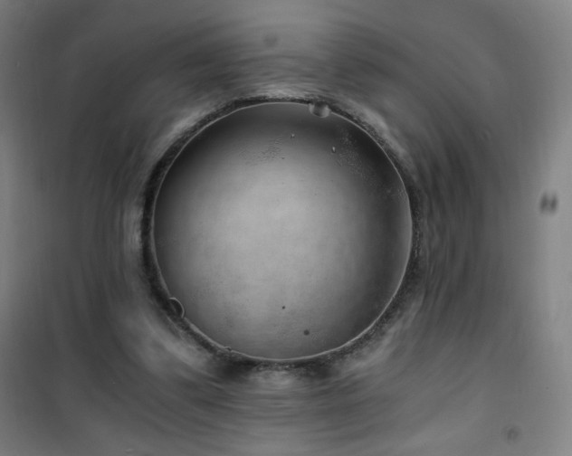 X0000101650299200807101238