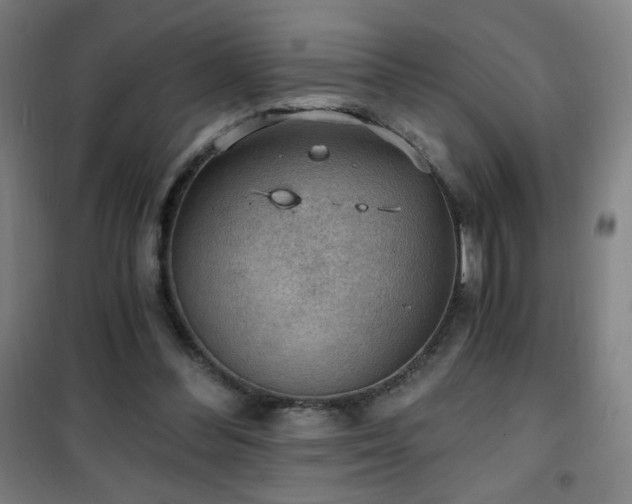 X0000101650300200807101238