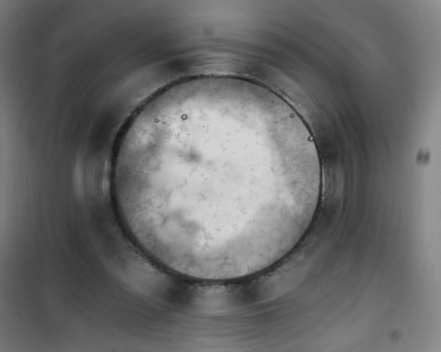 X0000101650301200807101238