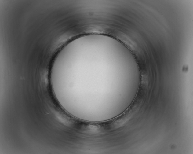 X0000101650302200807101237