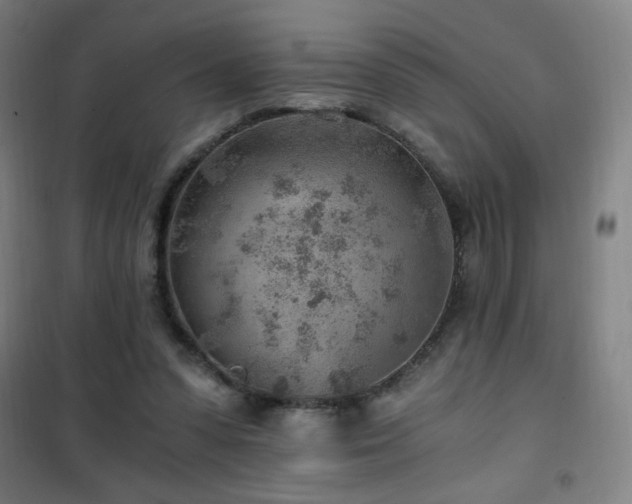 X0000101650303200807101237